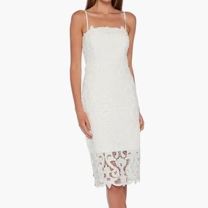 New Bardot Lina Lace Sheath Dress in Ivory Size Small (US 6)